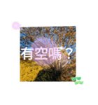ほっこり公園日和 - 季節の挨拶集 台湾語（個別スタンプ：38）