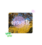 ほっこり公園日和 - 季節の挨拶集 台湾語（個別スタンプ：40）