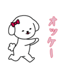 [オッケー専用]白い犬の女の子（個別スタンプ：1）