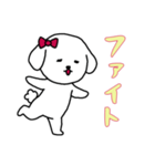 ビションフリーゼの女の子（日常）（個別スタンプ：2）