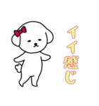 ビションフリーゼの女の子（日常）（個別スタンプ：3）