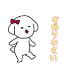 ビションフリーゼの女の子（日常）（個別スタンプ：5）