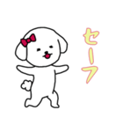 ビションフリーゼの女の子（日常）（個別スタンプ：6）