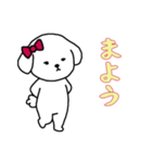 ビションフリーゼの女の子（日常）（個別スタンプ：7）