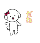 ビションフリーゼの女の子（日常）（個別スタンプ：8）