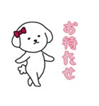ビションフリーゼの女の子（日常）（個別スタンプ：9）
