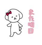 ビションフリーゼの女の子（日常）（個別スタンプ：11）