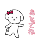 ビションフリーゼの女の子（日常）（個別スタンプ：13）