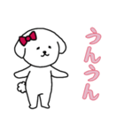 ビションフリーゼの女の子（日常）（個別スタンプ：15）