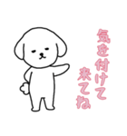 [気を付けて来てね専用]白い犬の男の子（個別スタンプ：1）
