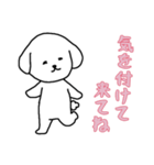 [気を付けて来てね専用]白い犬の男の子（個別スタンプ：2）