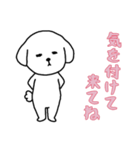 [気を付けて来てね専用]白い犬の男の子（個別スタンプ：3）