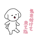 [気を付けて来てね専用]白い犬の男の子（個別スタンプ：4）