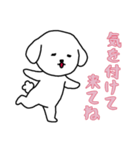 [気を付けて来てね専用]白い犬の男の子（個別スタンプ：5）