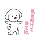 [気を付けて来てね専用]白い犬の男の子（個別スタンプ：6）