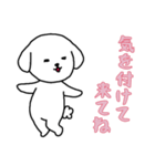 [気を付けて来てね専用]白い犬の男の子（個別スタンプ：7）
