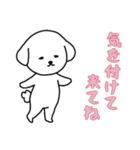 [気を付けて来てね専用]白い犬の男の子（個別スタンプ：8）