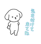 [気を付けて来てね専用]白い犬の男の子（個別スタンプ：10）