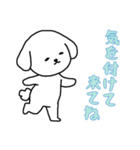 [気を付けて来てね専用]白い犬の男の子（個別スタンプ：13）
