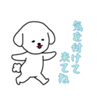 [気を付けて来てね専用]白い犬の男の子（個別スタンプ：14）