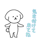 [気を付けて来てね専用]白い犬の男の子（個別スタンプ：15）