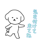 [気を付けて来てね専用]白い犬の男の子（個別スタンプ：16）