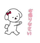 [お帰りなさい専用]白い犬の女の子（個別スタンプ：16）