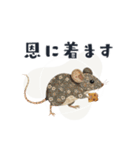 コラージュ動物の使いやすいスタンプ◆秋（個別スタンプ：12）