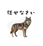 コラージュ動物の使いやすいスタンプ◆秋（個別スタンプ：16）