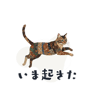 コラージュ動物の使いやすいスタンプ◆秋（個別スタンプ：19）