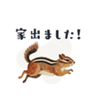 コラージュ動物の使いやすいスタンプ◆秋（個別スタンプ：21）