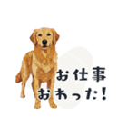 コラージュ動物の使いやすいスタンプ◆秋（個別スタンプ：23）