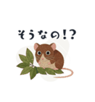 コラージュ動物の使いやすいスタンプ◆秋（個別スタンプ：35）