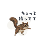 コラージュ動物の使いやすいスタンプ◆秋（個別スタンプ：37）