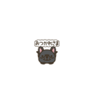 超ちいさいフレブル(ブラック）（個別スタンプ：3）