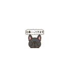 超ちいさいフレブル(ブラック）（個別スタンプ：8）