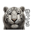 虎応援！かっこいい白虎！3Dリアル（個別スタンプ：24）