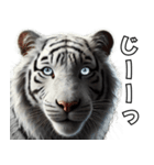 虎応援！かっこいい白虎！3Dリアル（個別スタンプ：26）