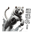 虎応援！かっこいい白虎！3Dリアル（個別スタンプ：39）