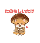 しいたけキャット（個別スタンプ：1）