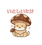 しいたけキャット（個別スタンプ：5）