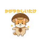 しいたけキャット（個別スタンプ：10）