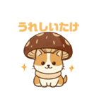 しいたけキャット（個別スタンプ：11）
