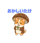 しいたけキャット（個別スタンプ：16）