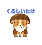 しいたけキャット（個別スタンプ：19）