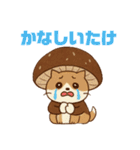 しいたけキャット（個別スタンプ：20）