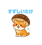 しいたけキャット（個別スタンプ：21）