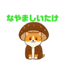 しいたけキャット（個別スタンプ：23）