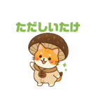 しいたけキャット（個別スタンプ：24）