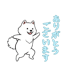 [ありがとうございます専用]サモエド（個別スタンプ：7）